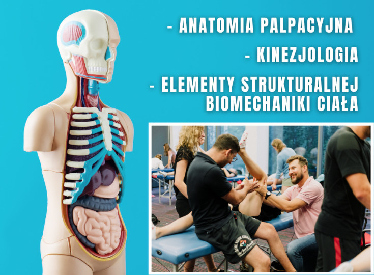 Kurs Anatomii Palpacyjnej