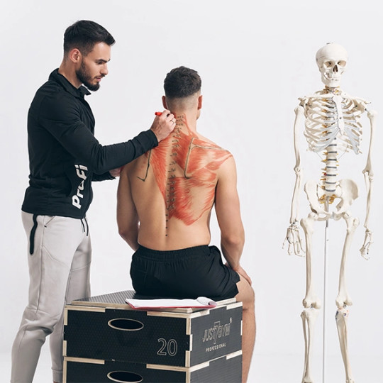 ANATOMIA PALPACYJNA I MOBILNOŚĆ